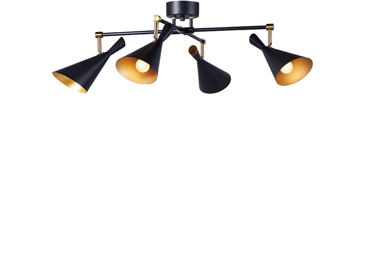 Ceiling Lamp / シーリングランプ #110821 （ライト・照明 > シーリングライト） 1