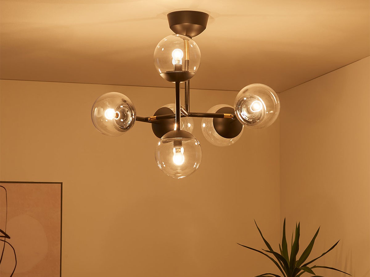 Ceiling Lamp / シーリングランプ #113827 （ライト・照明 > シーリングライト） 10