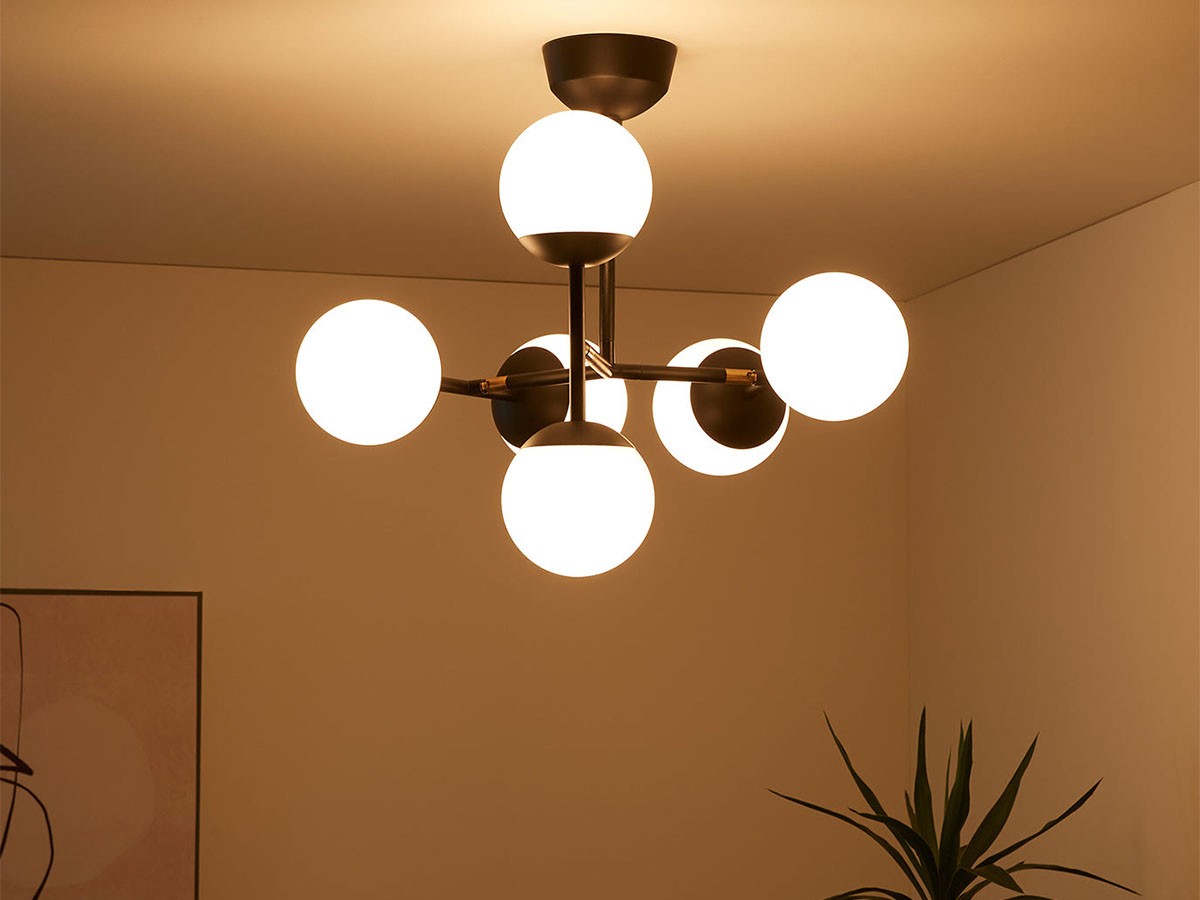 Ceiling Lamp / シーリングランプ #113827 （ライト・照明 > シーリングライト） 8