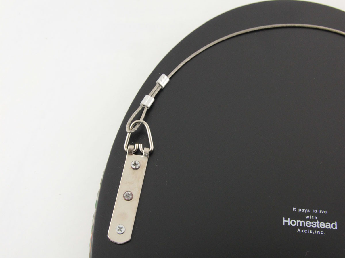 Oval Mirror / オーバルミラー HS547 （ミラー・ドレッサー > 壁掛けミラー・壁掛け鏡） 15