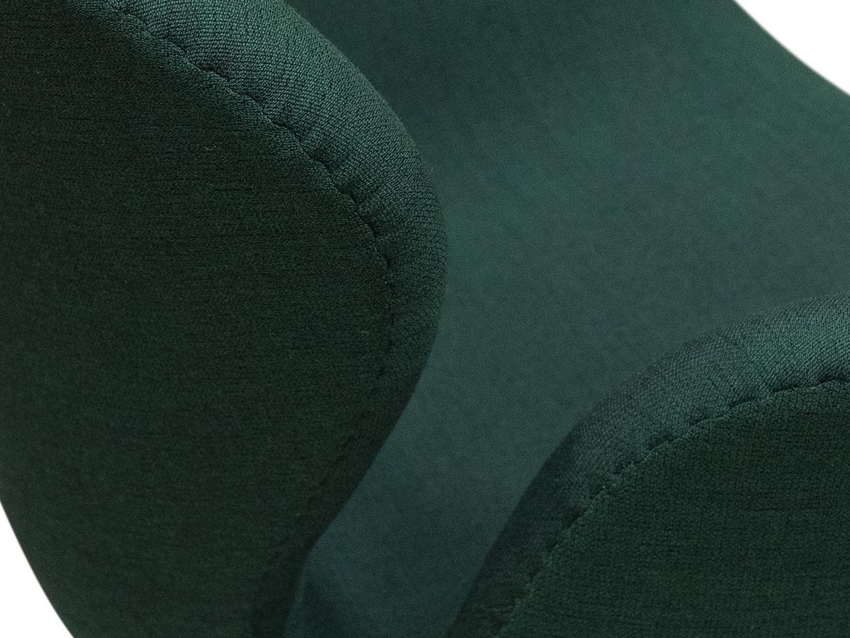FRITZ HANSEN Right Now Delivery
SWAN / フリッツ・ハンセン スワンチェア 3320（クリスチャンハウン 1161 ダークグリーン） （チェア・椅子 > ラウンジチェア） 19