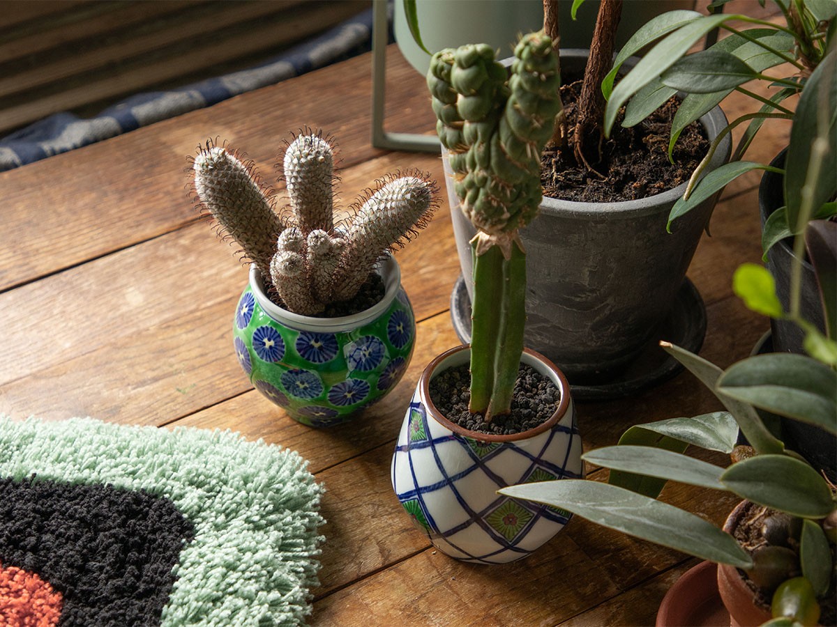 源右衛門窯 緑彩松葉紋 植木鉢 / げんえもんがま 緑彩松葉紋 植木鉢 （花器・プランター・グリーン > 鉢・プランターボックス） 2