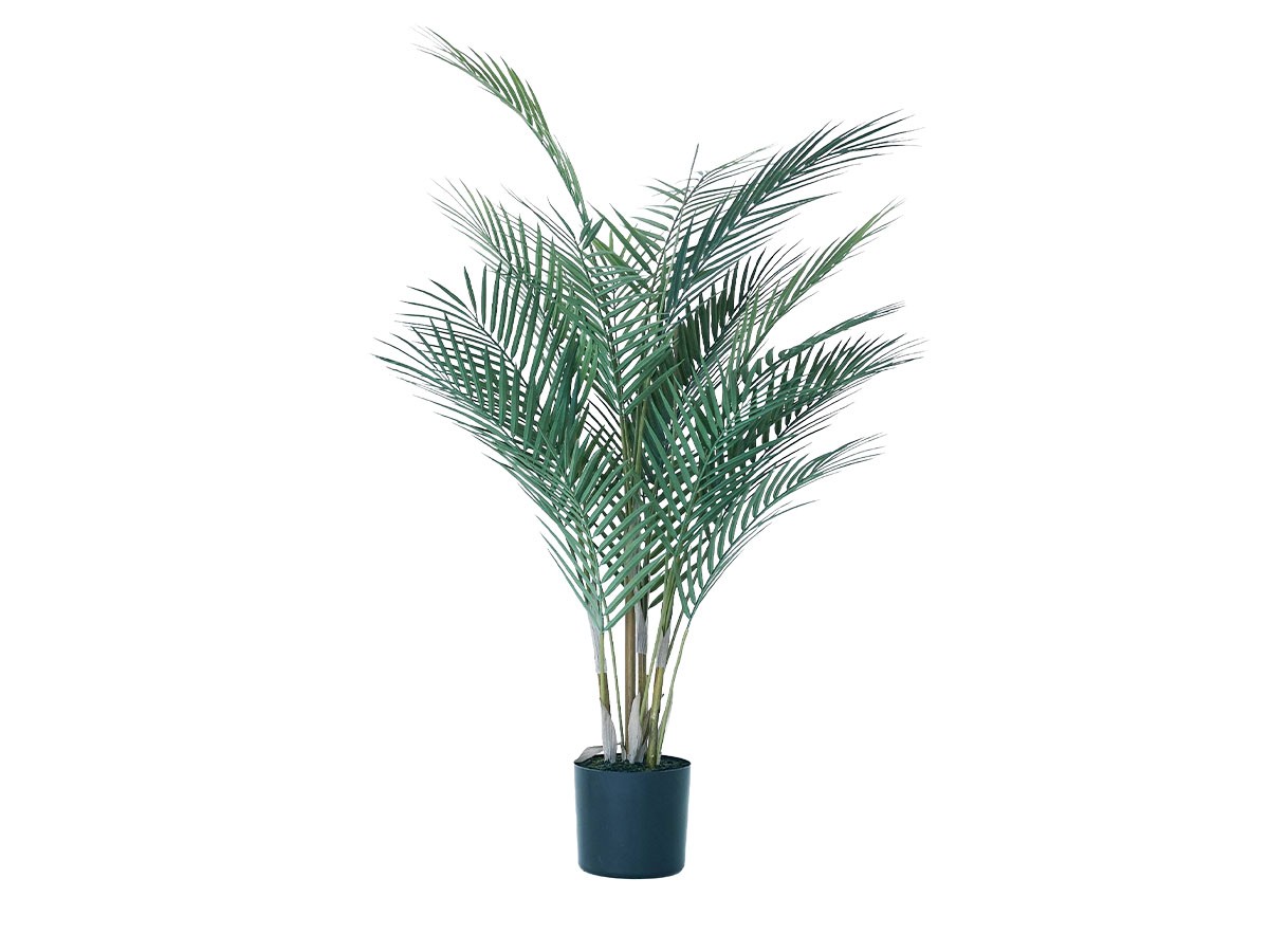 BROWN Areca Palm Pot
