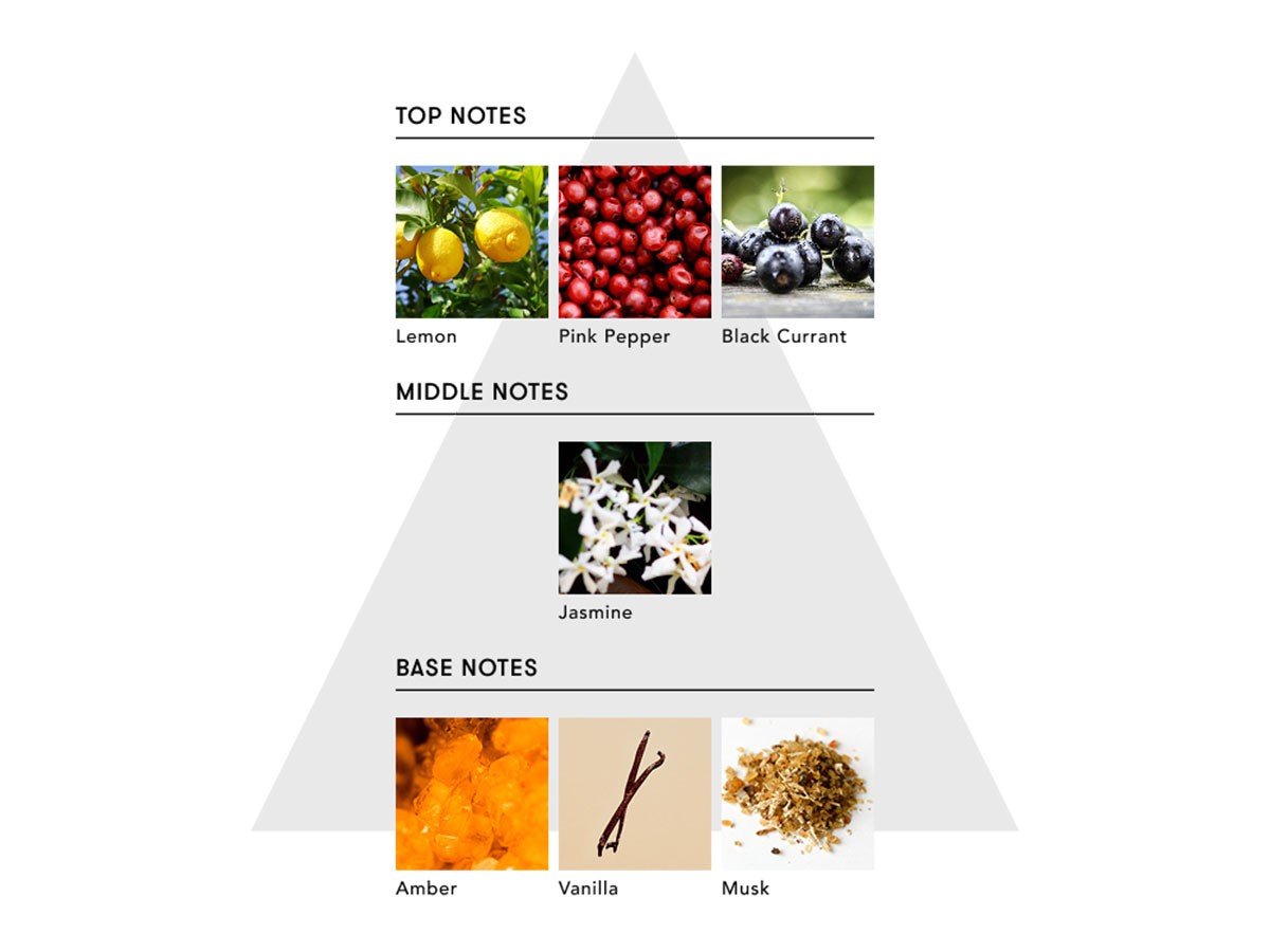 SINN PURETE MINDFUL REED DIFFUSER / シンピュルテ マインドフル リード ディフューザー
GASTRONOMY / 美食学 （インテリア雑貨 > ルームフレグランス） 8