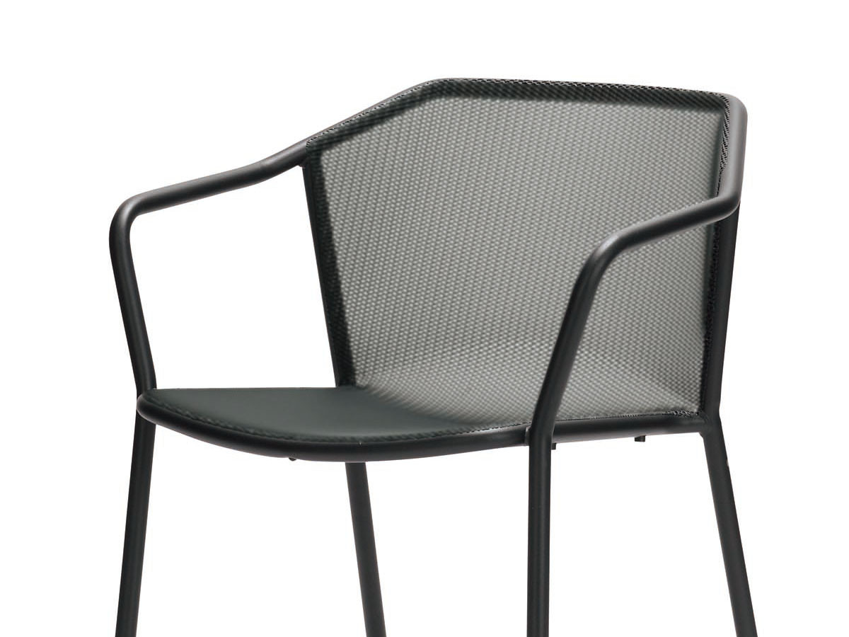 emu Darwin Arm Chair / エミュー ダーウィン アームチェア （チェア・椅子 > ダイニングチェア） 3
