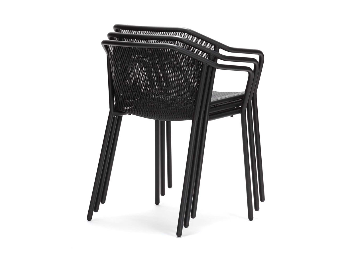 emu Darwin Arm Chair / エミュー ダーウィン アームチェア （チェア・椅子 > ダイニングチェア） 2