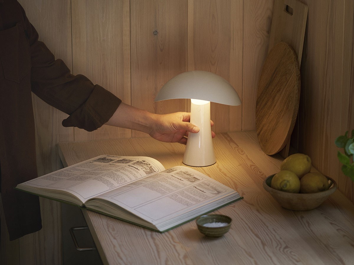 Louis Poulsen Rumee 220 Portable / ルイスポールセン ルーミー 220 ポータブル （ライト・照明 > テーブルランプ） 17