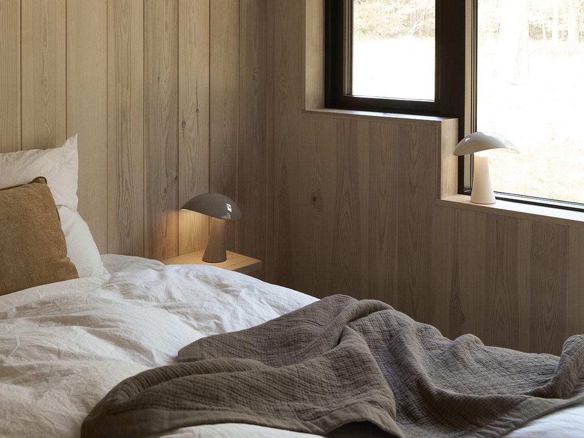 Louis Poulsen Rumee 220 Portable / ルイスポールセン ルーミー 220 ポータブル （ライト・照明 > テーブルランプ） 20