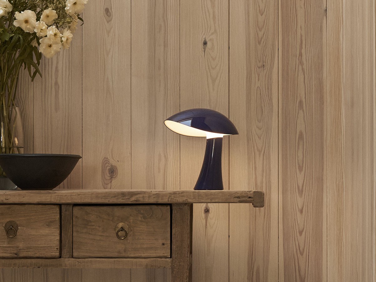 Louis Poulsen Rumee 220 Portable / ルイスポールセン ルーミー 220 ポータブル （ライト・照明 > テーブルランプ） 37