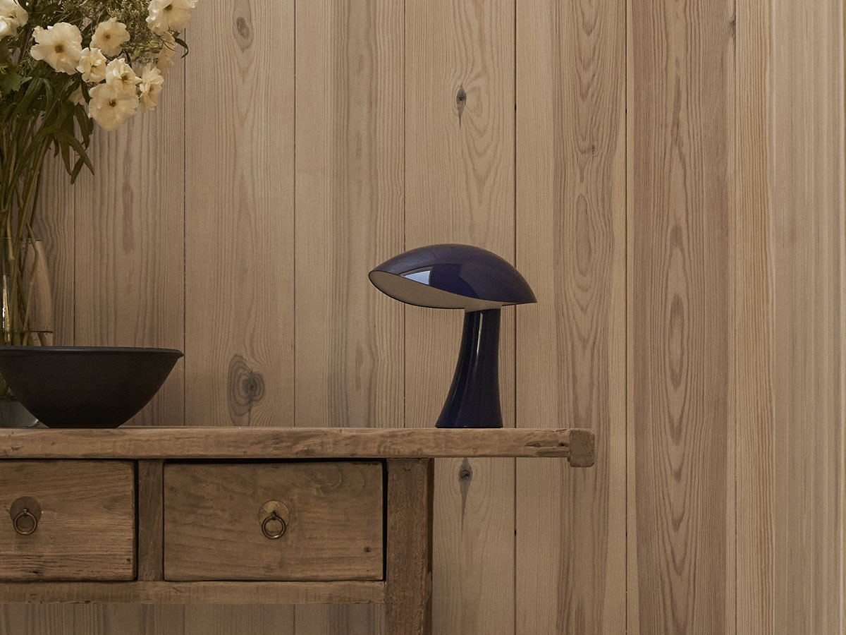 Louis Poulsen Rumee 220 Portable / ルイスポールセン ルーミー 220 ポータブル （ライト・照明 > テーブルランプ） 36