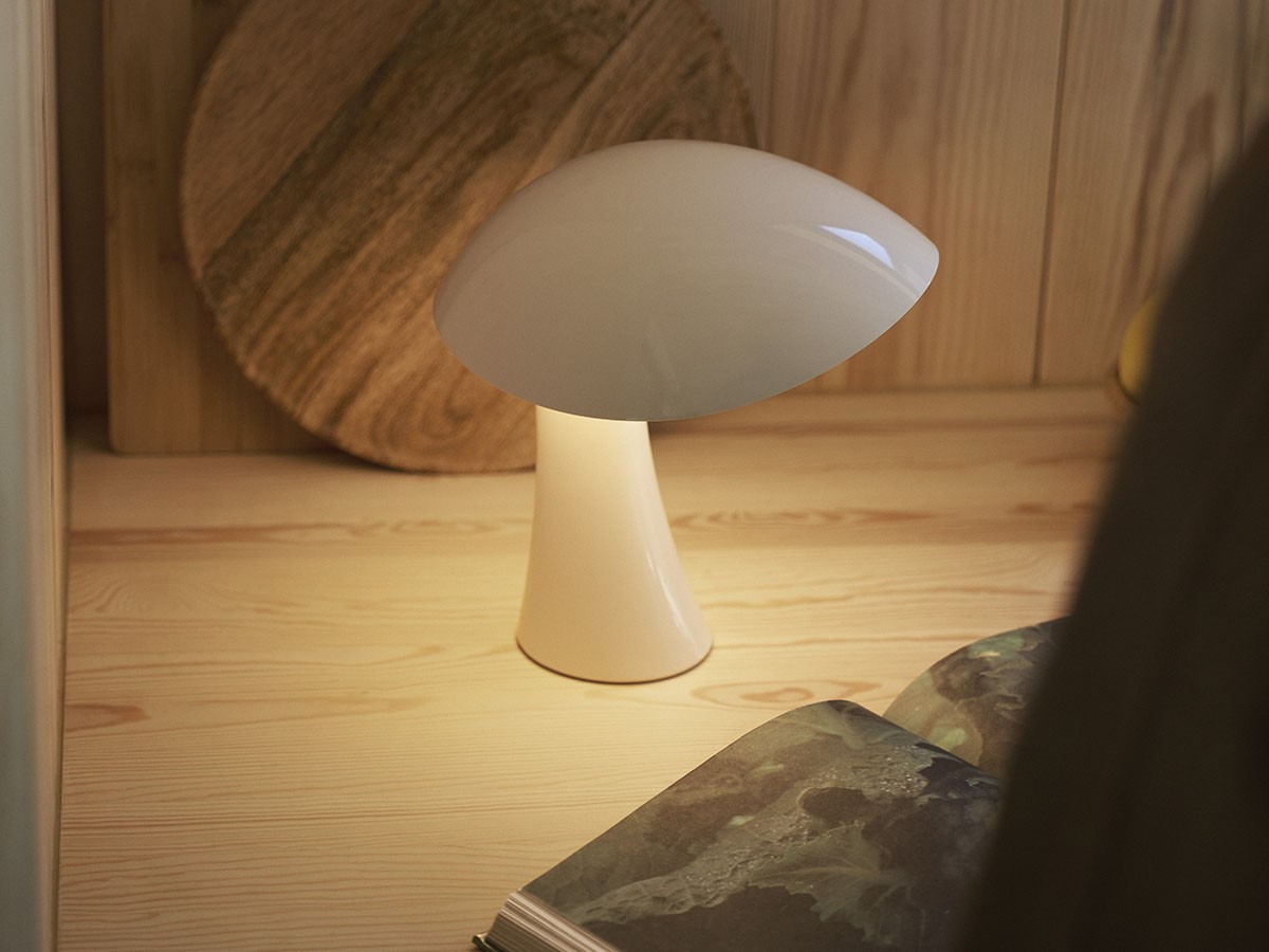 Louis Poulsen Rumee 220 Portable / ルイスポールセン ルーミー 220 ポータブル （ライト・照明 > テーブルランプ） 11