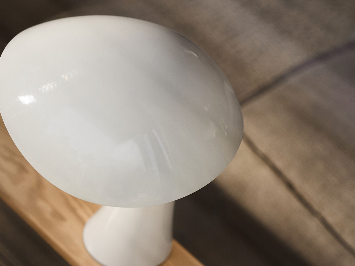 Louis Poulsen Rumee 220 Portable / ルイスポールセン ルーミー 220 ポータブル （ライト・照明 > テーブルランプ） 27