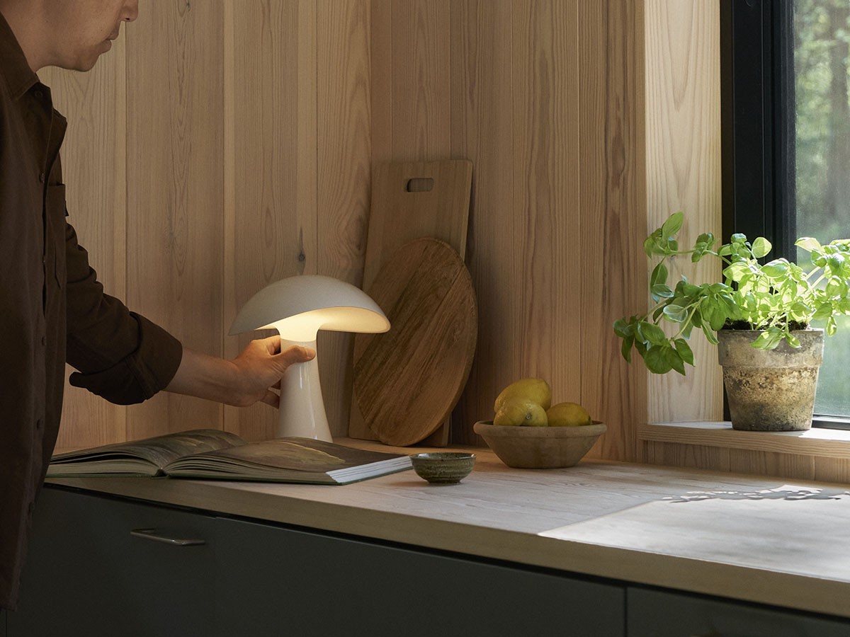 Louis Poulsen Rumee 220 Portable / ルイスポールセン ルーミー 220 ポータブル （ライト・照明 > テーブルランプ） 13