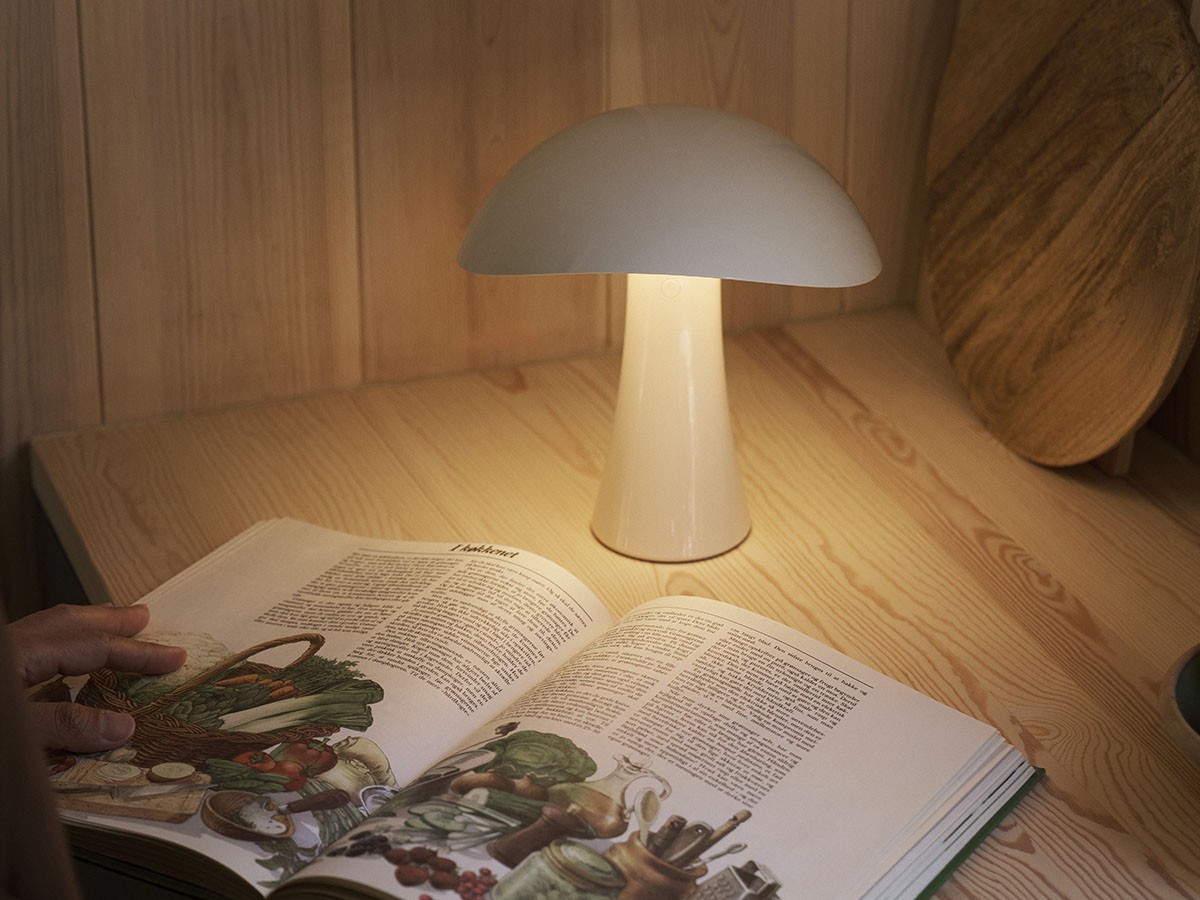 Louis Poulsen Rumee 220 Portable / ルイスポールセン ルーミー 220 ポータブル （ライト・照明 > テーブルランプ） 8