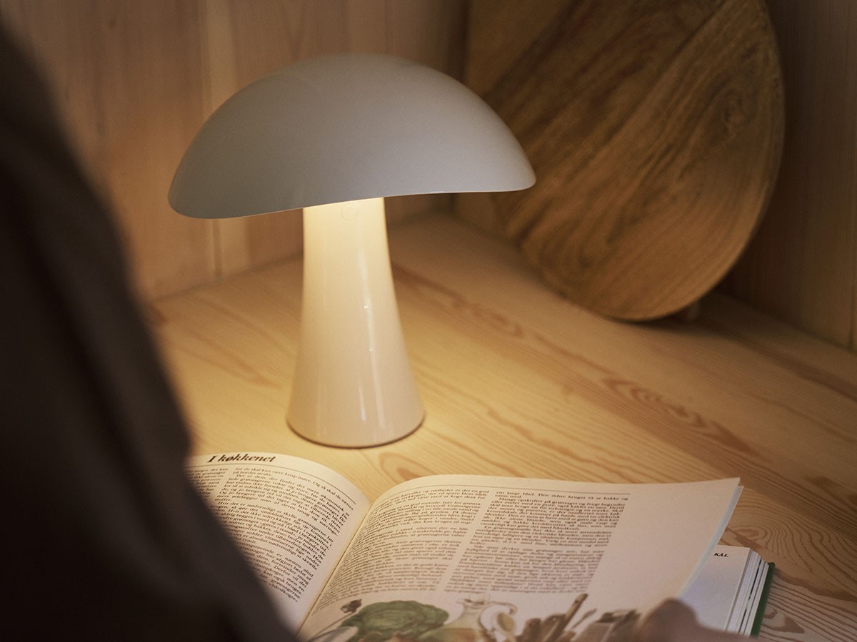 Louis Poulsen Rumee 220 Portable / ルイスポールセン ルーミー 220 ポータブル （ライト・照明 > テーブルランプ） 9