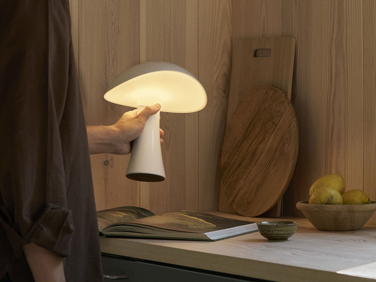 Louis Poulsen Rumee 220 Portable / ルイスポールセン ルーミー 220 ポータブル （ライト・照明 > テーブルランプ） 18