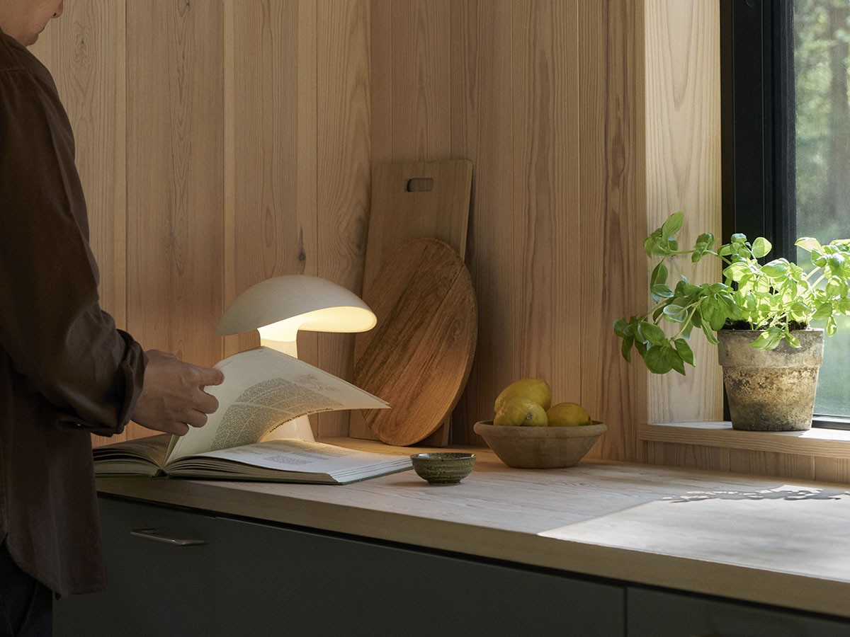 Louis Poulsen Rumee 220 Portable / ルイスポールセン ルーミー 220 ポータブル （ライト・照明 > テーブルランプ） 15