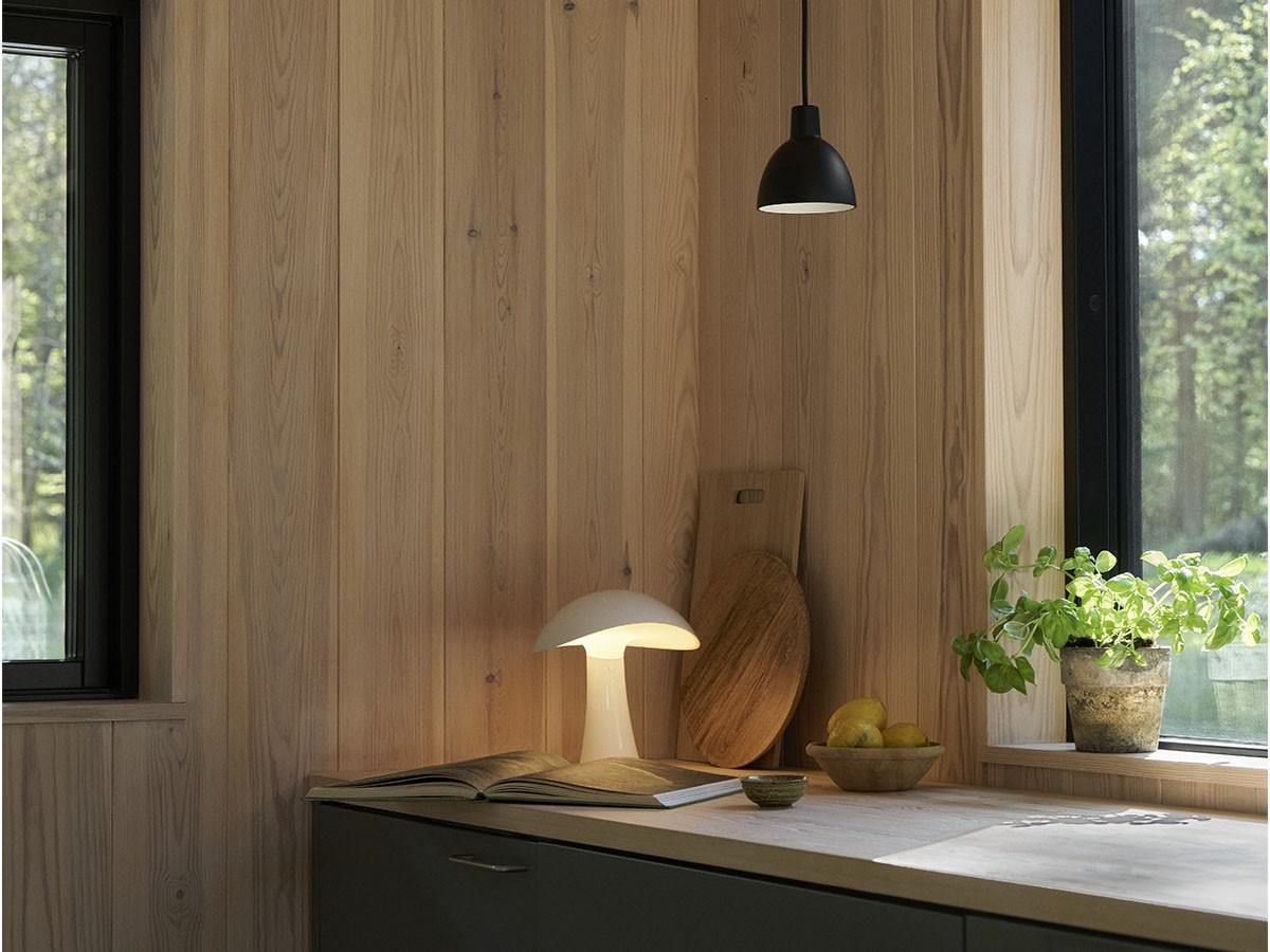 Louis Poulsen Rumee 220 Portable / ルイスポールセン ルーミー 220 ポータブル （ライト・照明 > テーブルランプ） 7