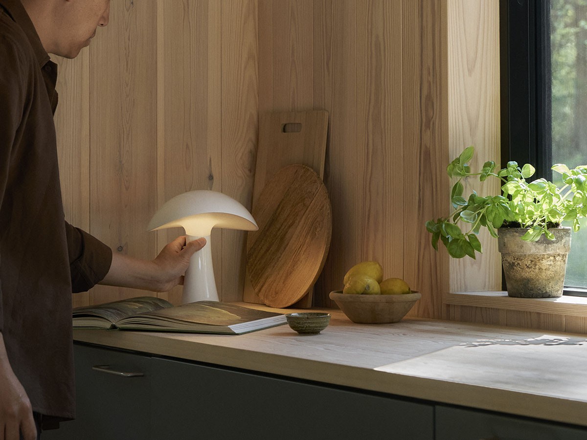 Louis Poulsen Rumee 220 Portable / ルイスポールセン ルーミー 220 ポータブル （ライト・照明 > テーブルランプ） 14