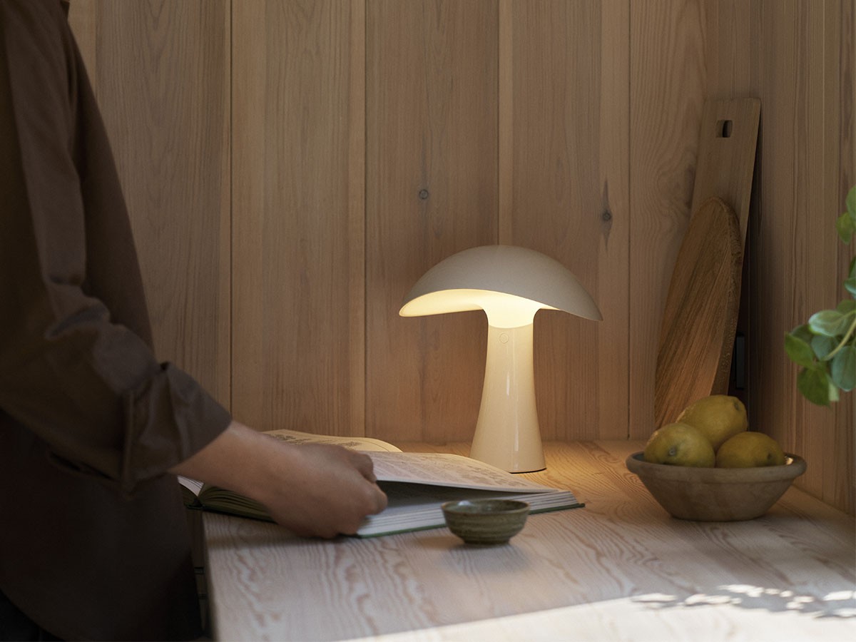 Louis Poulsen Rumee 220 Portable / ルイスポールセン ルーミー 220 ポータブル （ライト・照明 > テーブルランプ） 16