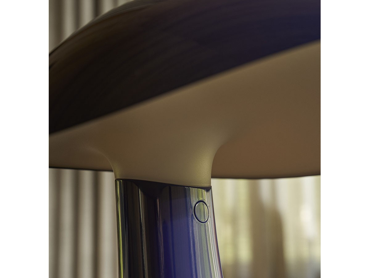 Louis Poulsen Rumee 220 Portable / ルイスポールセン ルーミー 220 ポータブル （ライト・照明 > テーブルランプ） 81