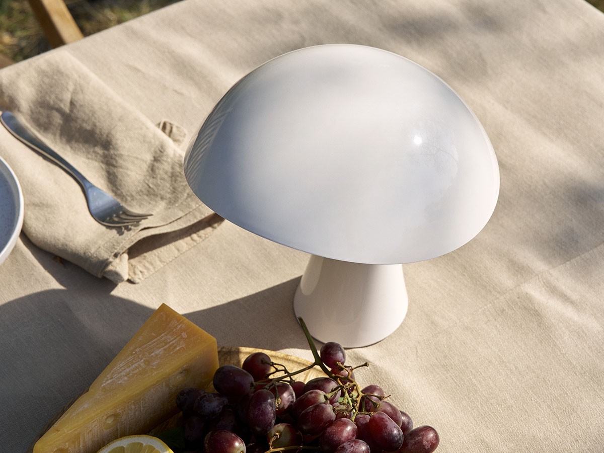 Louis Poulsen Rumee 220 Portable / ルイスポールセン ルーミー 220 ポータブル （ライト・照明 > テーブルランプ） 58