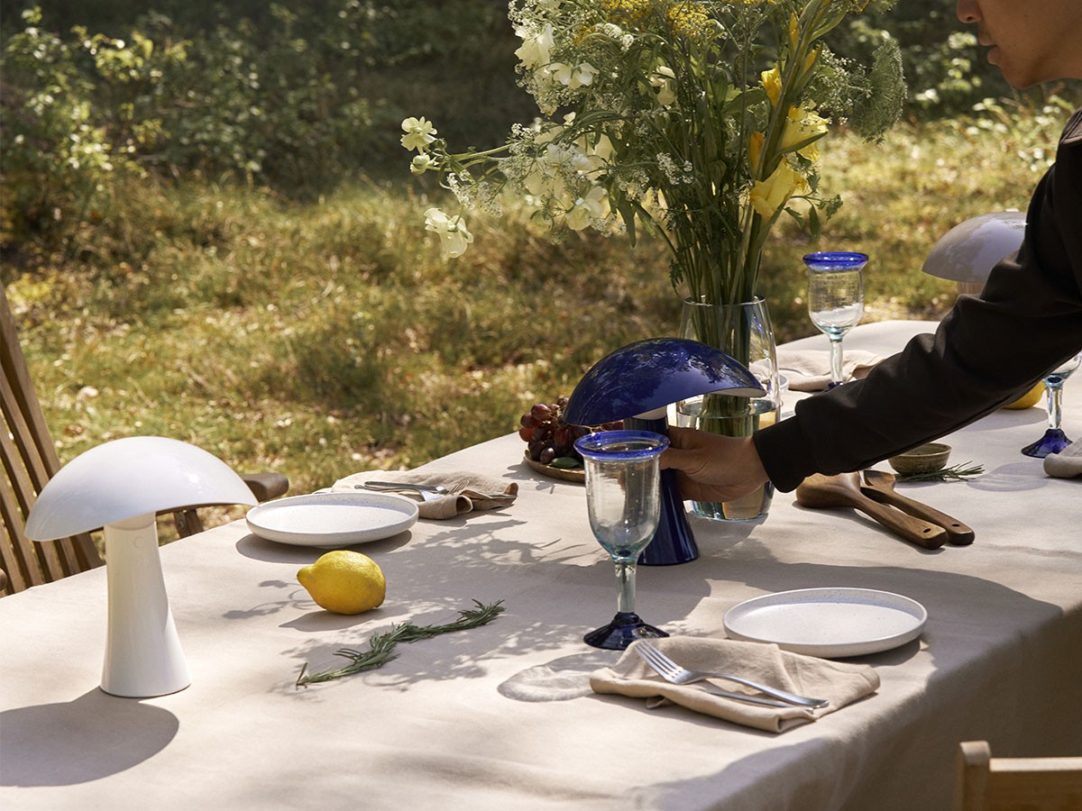 Louis Poulsen Rumee 220 Portable / ルイスポールセン ルーミー 220 ポータブル （ライト・照明 > テーブルランプ） 66