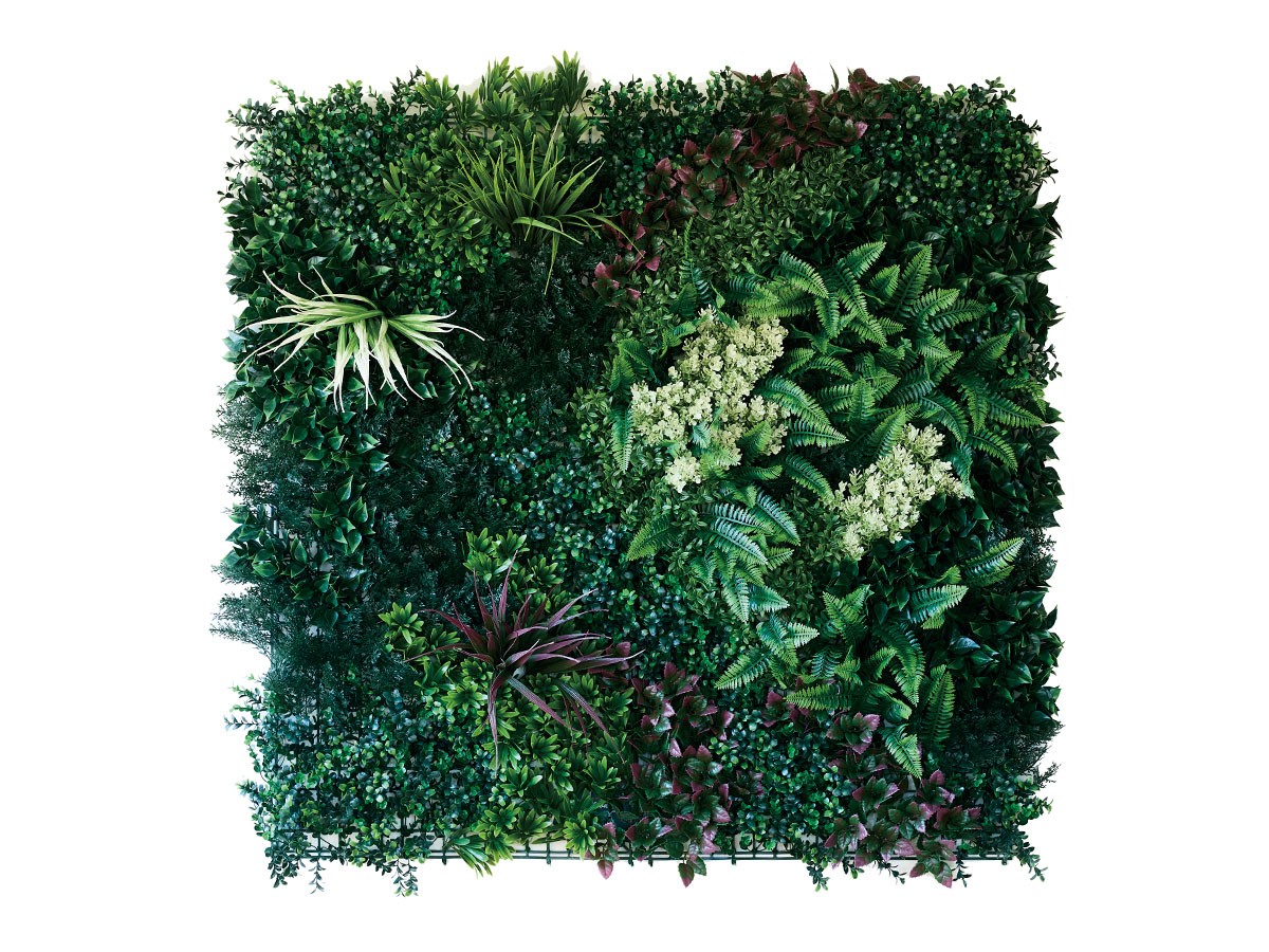 BROWN Green Wall