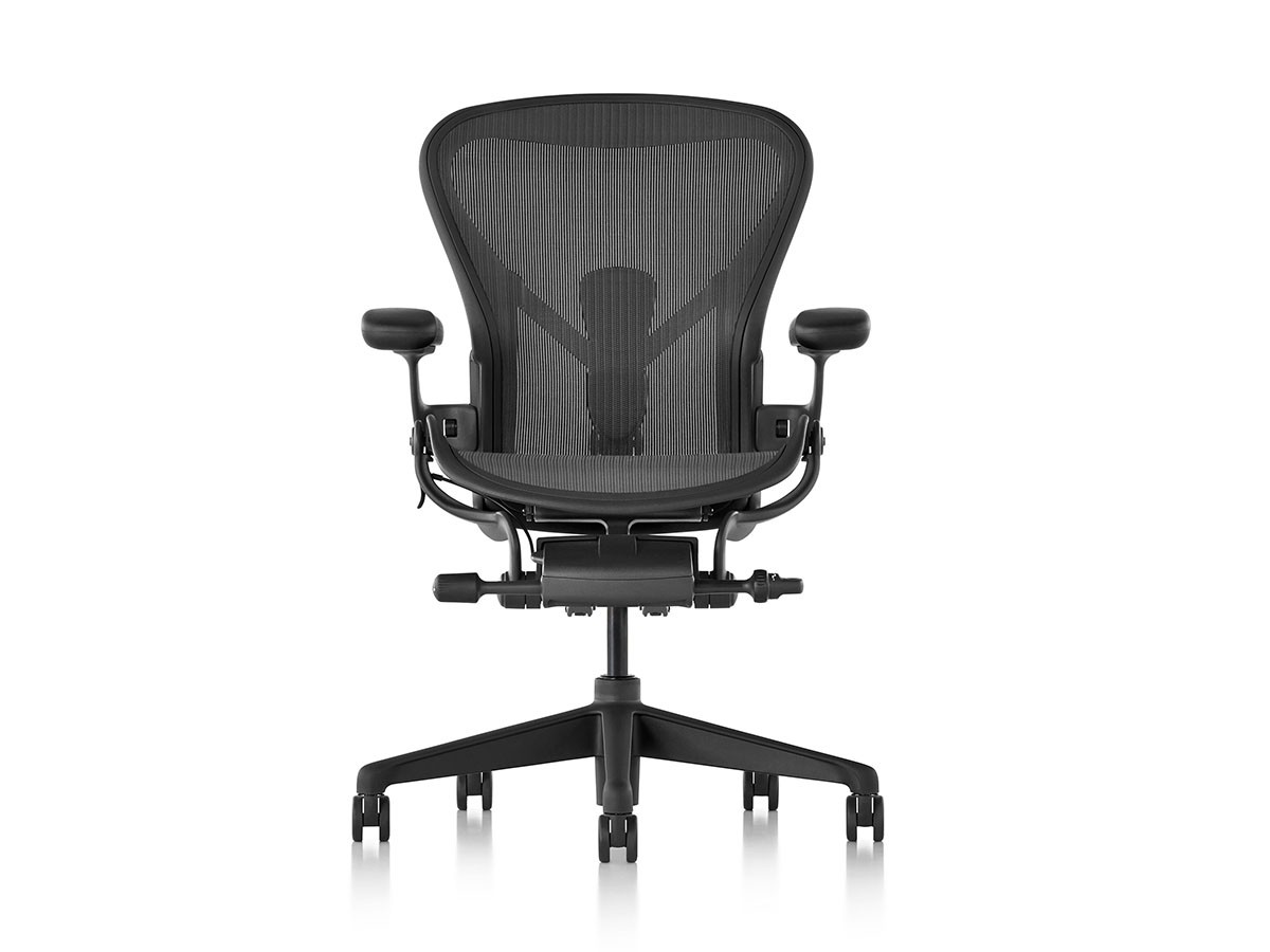 Herman Miller Aeron Chair Remastered / ハーマンミラー アーロンチェア リマスタード Cサイズ（ラージサイズ） （チェア・椅子 > オフィスチェア・デスクチェア） 16