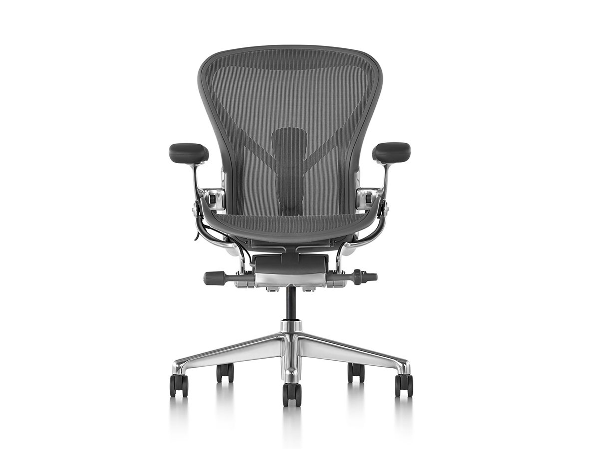 Herman Miller Aeron Chair Remastered / ハーマンミラー アーロンチェア リマスタード Cサイズ（ラージサイズ） （チェア・椅子 > オフィスチェア・デスクチェア） 24