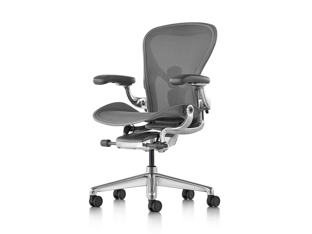 Herman Miller Aeron Chair Remastered / ハーマンミラー アーロンチェア リマスタード Cサイズ（ラージサイズ） （チェア・椅子 > オフィスチェア・デスクチェア） 3
