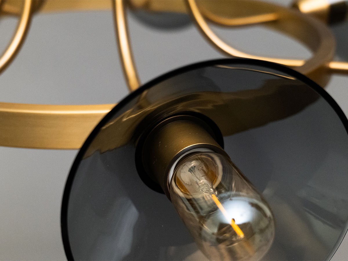 MAVISTEN EDITION Amplitude Chandelier / マヴィステン エディション アンプリチュード シャンデリア （ライト・照明 > ペンダントライト） 9