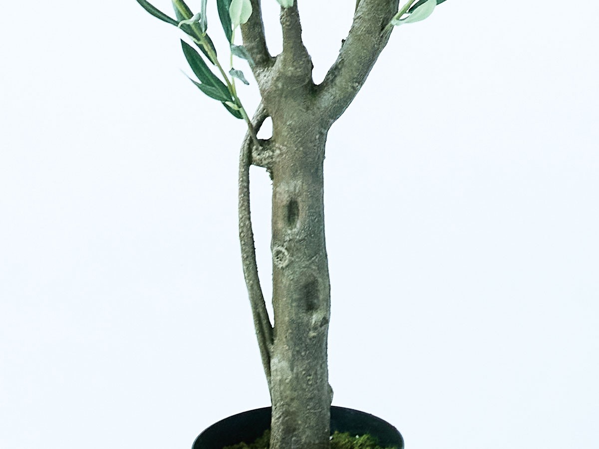BROWN Olive Pot / ブラウン オリーブ ポット 150 （花器・プランター・グリーン > フェイクグリーン・フェイクフラワー） 5