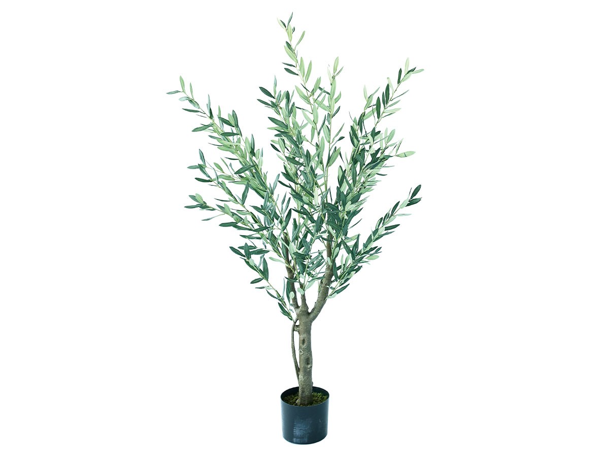 BROWN Olive Pot