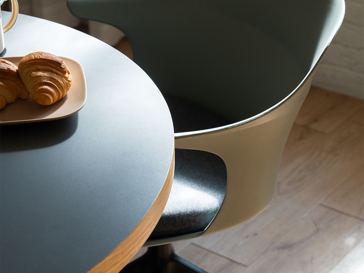 ENEN Smooth Round Chair With Arms / エネン スムーズラウンドチェア アーム付 （チェア・椅子 > ダイニングチェア） 11