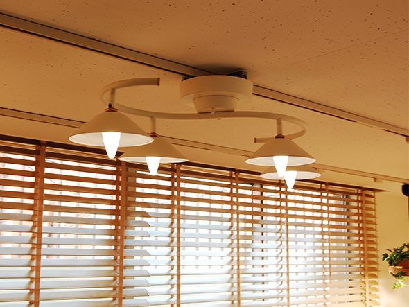 Orchard ceiling light 5