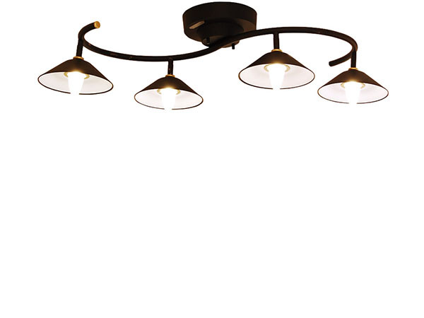 Orchard ceiling light / オーチャード シーリングライト （ライト・照明 > シーリングライト） 15