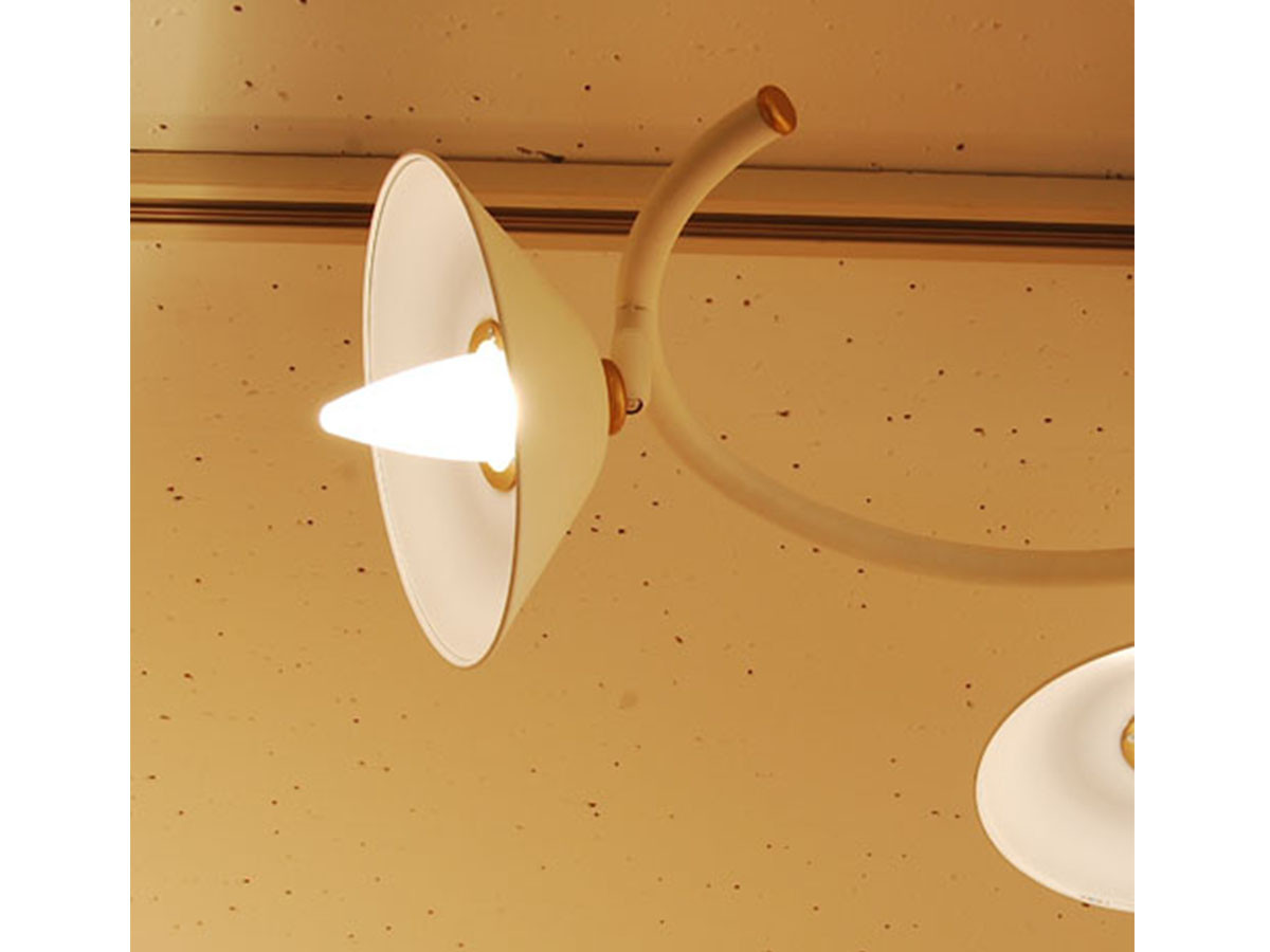 Orchard ceiling light / オーチャード シーリングライト （ライト・照明 > シーリングライト） 13