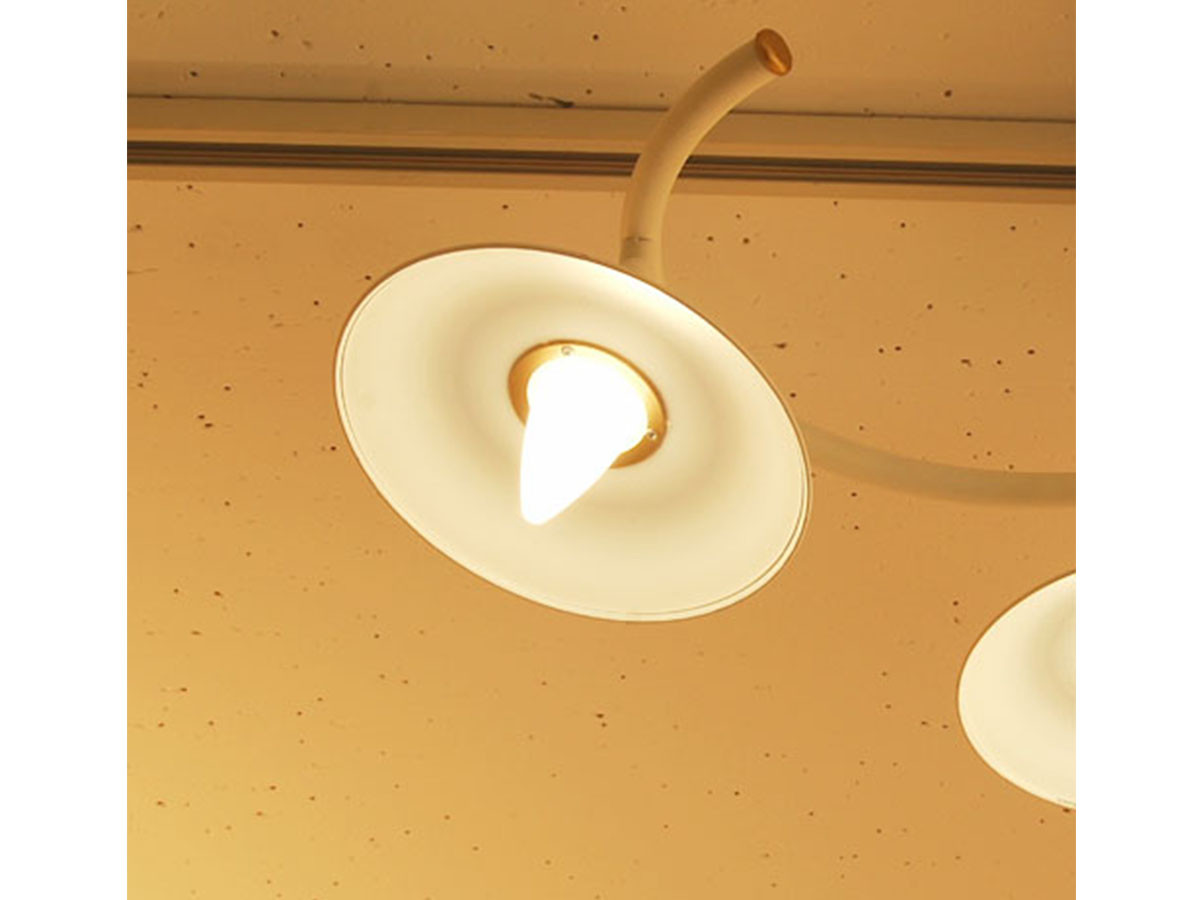 Orchard ceiling light / オーチャード シーリングライト （ライト・照明 > シーリングライト） 10