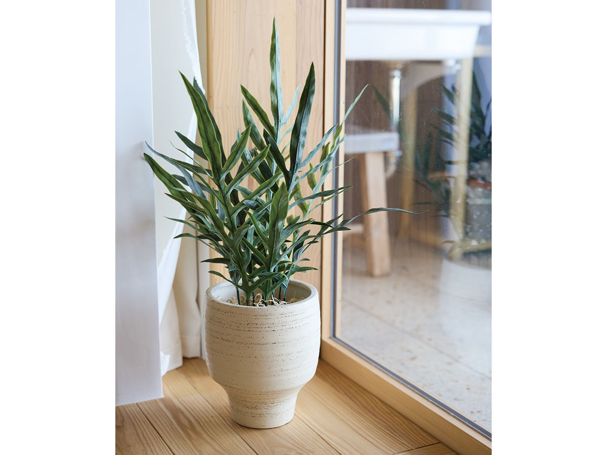 BROWN Phlebodium Pot / ブラウン フレボディウム ポット 65 （花器・プランター・グリーン > フェイクグリーン・フェイクフラワー） 2