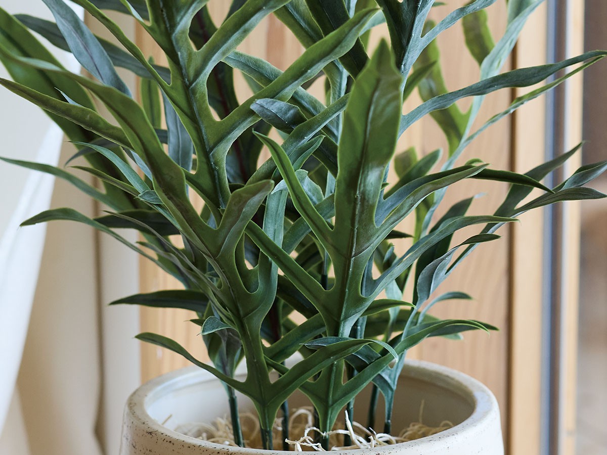 BROWN Phlebodium Pot / ブラウン フレボディウム ポット 65 （花器・プランター・グリーン > フェイクグリーン・フェイクフラワー） 4