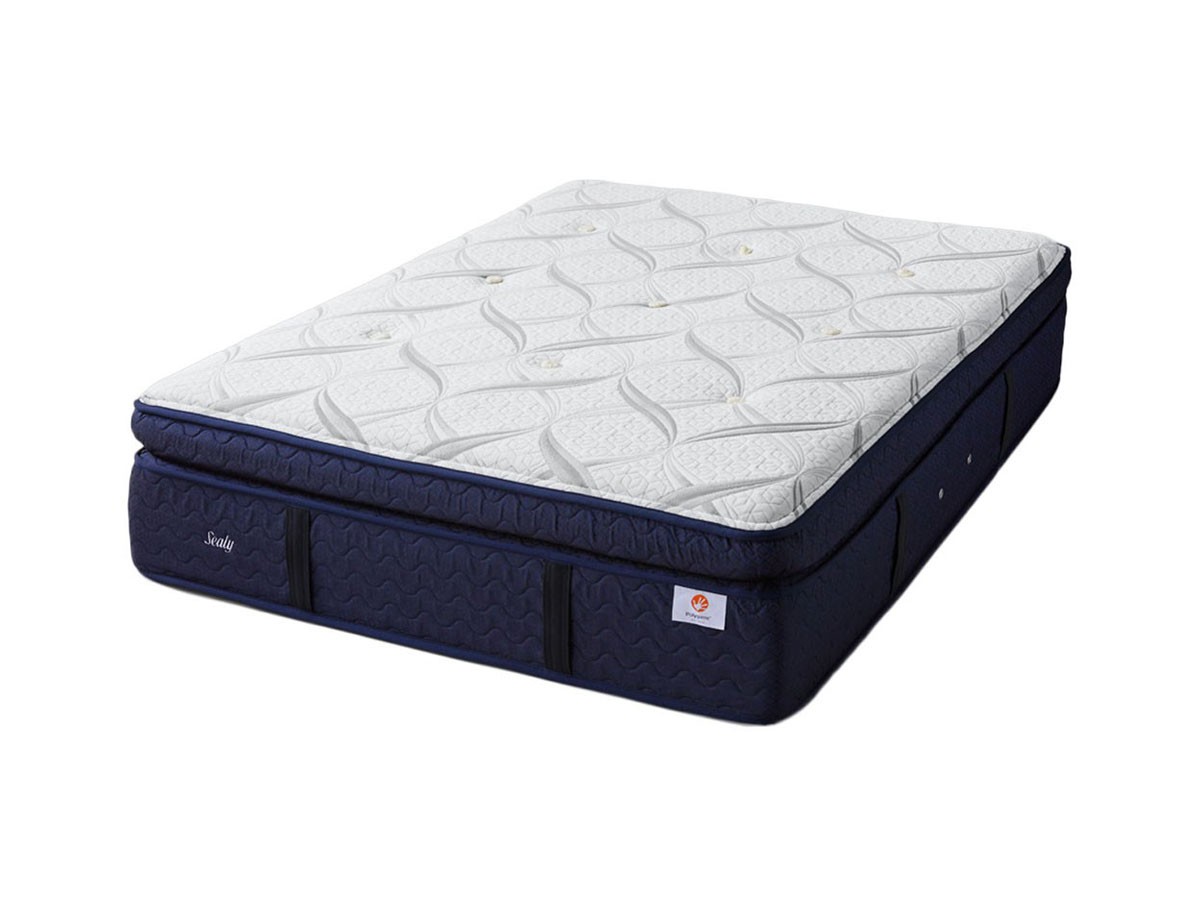 Sealy Sealy Mattress 
MASTERPIECE Premium EPT / シーリー シーリー マットレス 
マスターピース プレミアム ユーロピロートップ （寝具・タオル > マットレス） 1