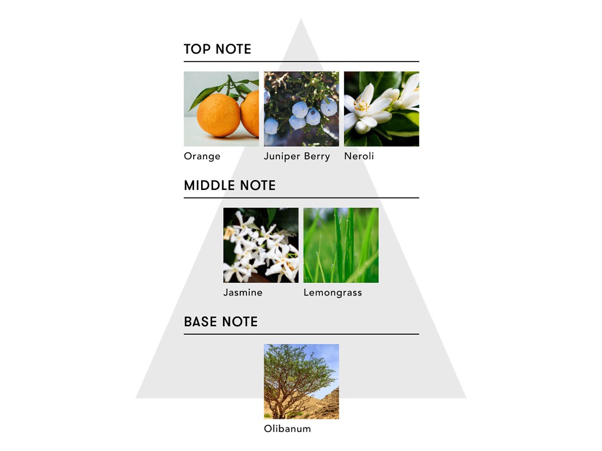 SINN PURETE Too Good Multi-Benefit Oil / シンピュルテ トゥーグッド マルチベネフィットオイル
Stillness & Energy / 静けさとエナジー （インテリア雑貨 > ボディケア） 15