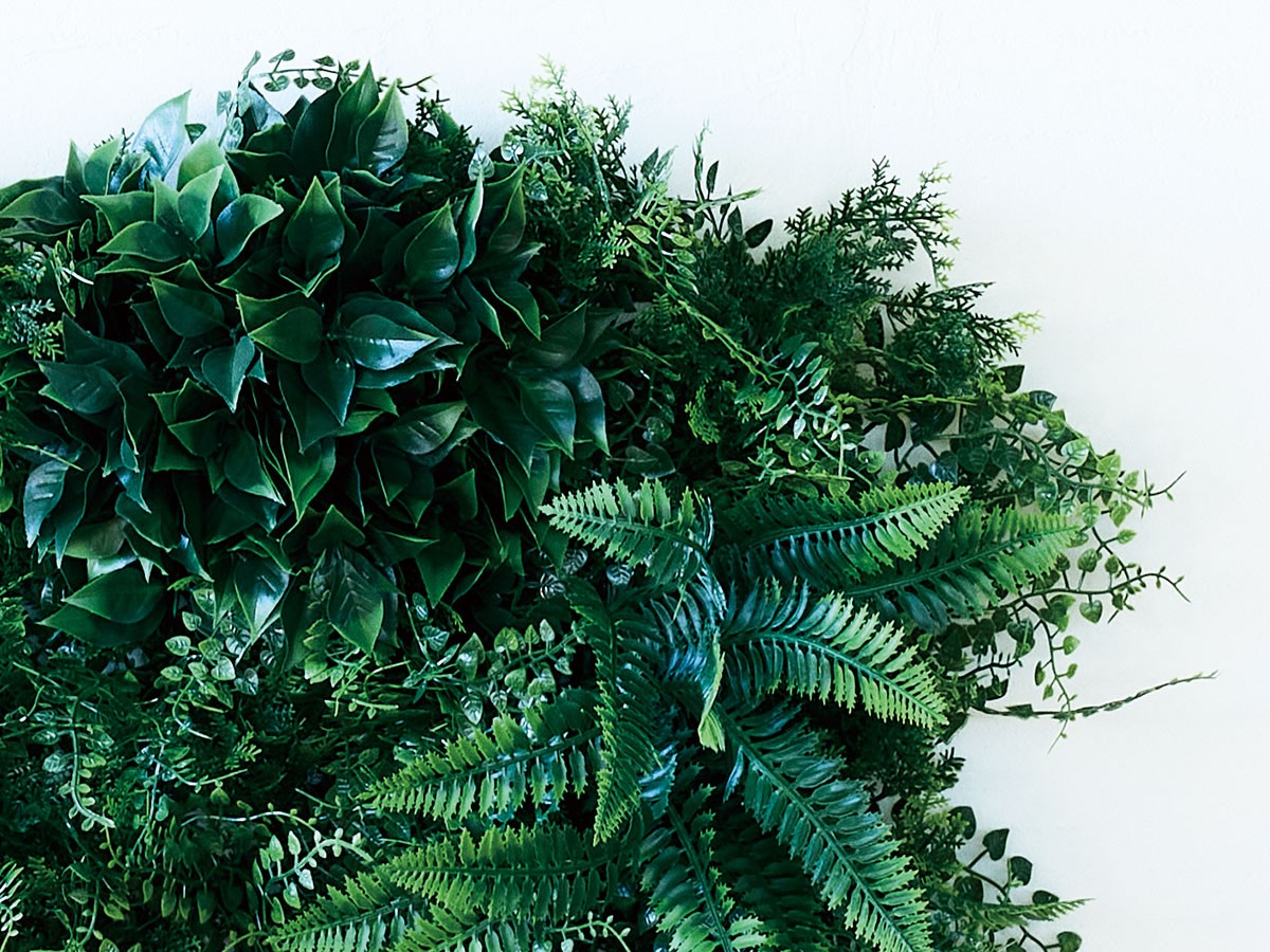 BROWN Green Wall / ブラウン グリーンウォール 50 DF （花器・プランター・グリーン > フェイクグリーン・フェイクフラワー） 6