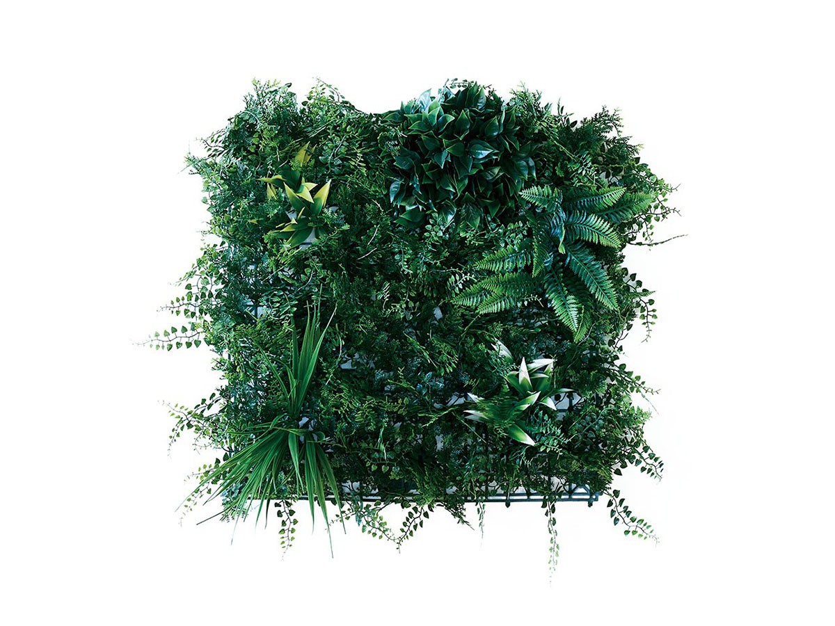 BROWN Green Wall