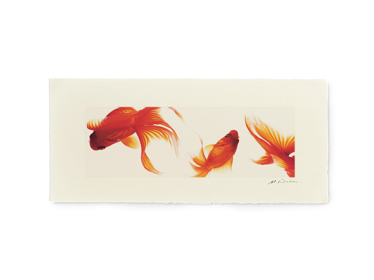 IGREBOW 金魚 / アイグレボゥ 金魚 1 × 3［ J-617-59 ］ （オブジェ・アート > アート） 2