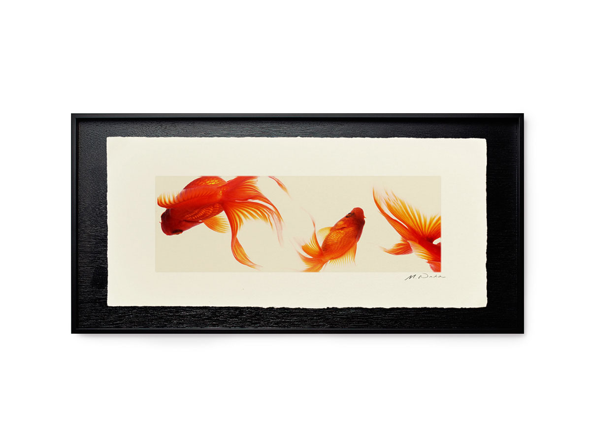 IGREBOW 金魚 / アイグレボゥ 金魚 1 × 3［ J-617-59 ］ （オブジェ・アート > アート） 4