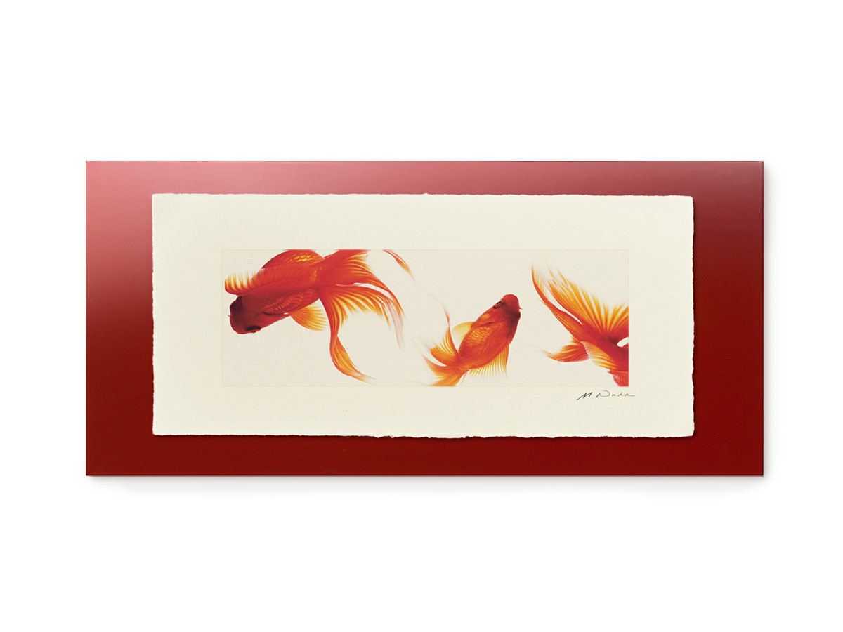 IGREBOW 金魚 / アイグレボゥ 金魚 1 × 3［ J-617-59 ］ （オブジェ・アート > アート） 3