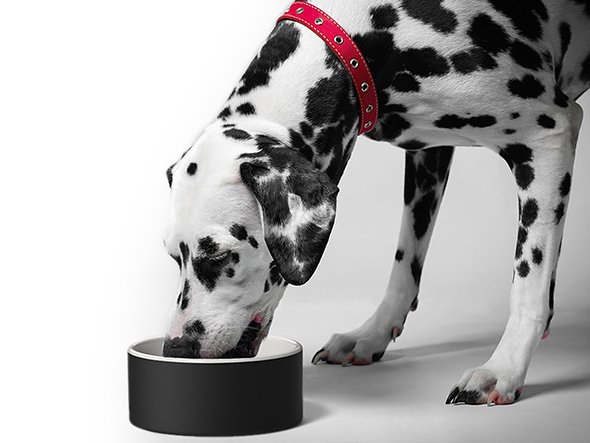 Magisso PET BOWL
Dog Bowl / マギッソ ペットボウル
ドッグボウル Lサイズ（大型〜中型犬用） （雑貨・その他インテリア家具 > ペット用品・家具） 6