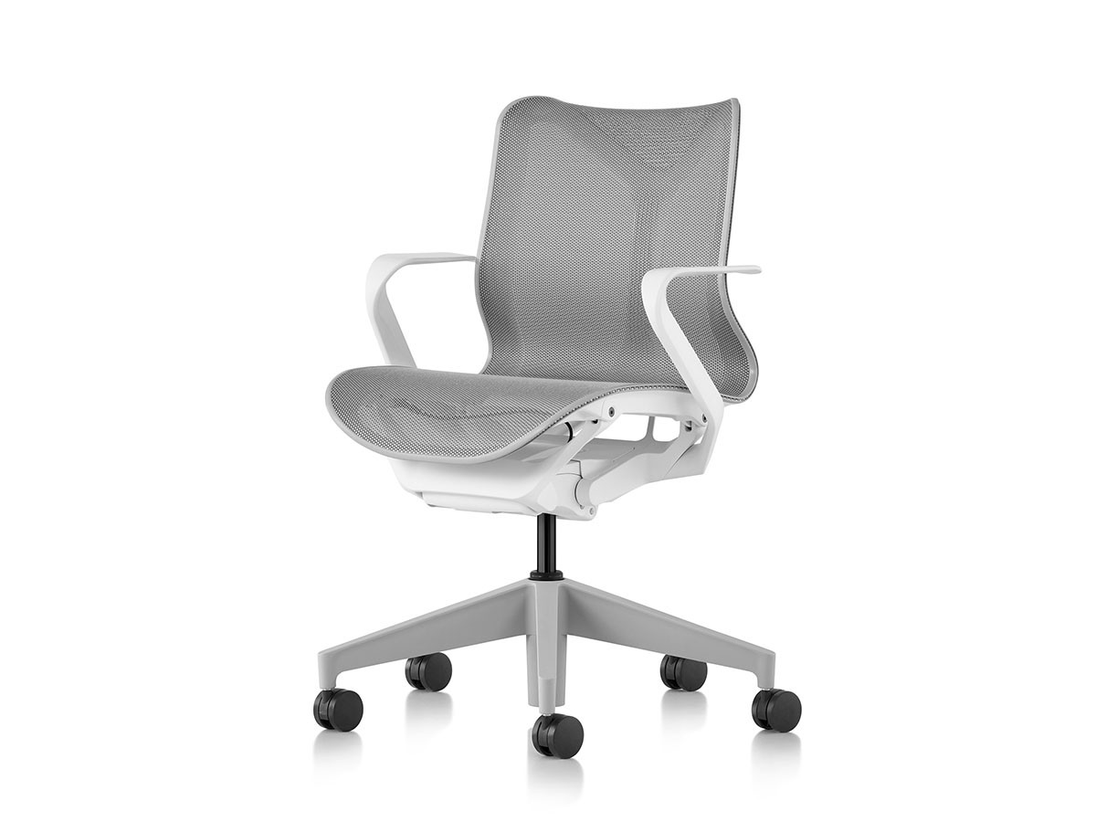 Herman Miller Cosm Chair / ハーマンミラー コズムチェア ローバック 固定アーム （チェア・椅子 > オフィスチェア・デスクチェア） 21